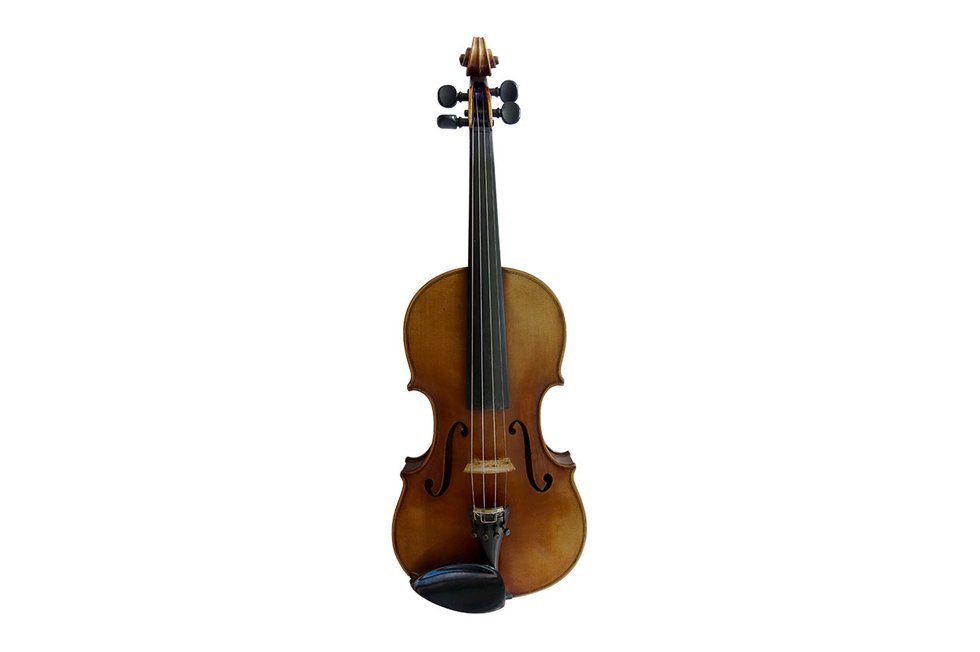 Violine Stock