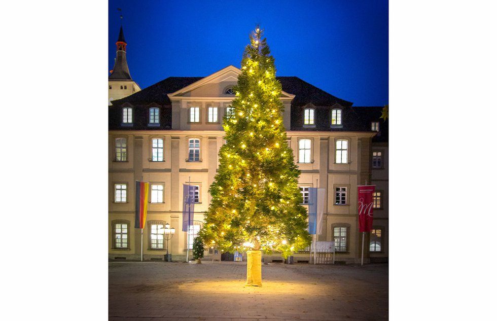 Weihnachtsbaum am Ehrenhof Rathaus