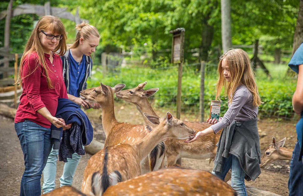 Familie-füttert-Damwild_c_%22Fauna%22 Wildpark GmbH_web.jpg