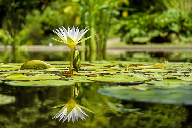 Botanischer Garten Frizz Wurzburg